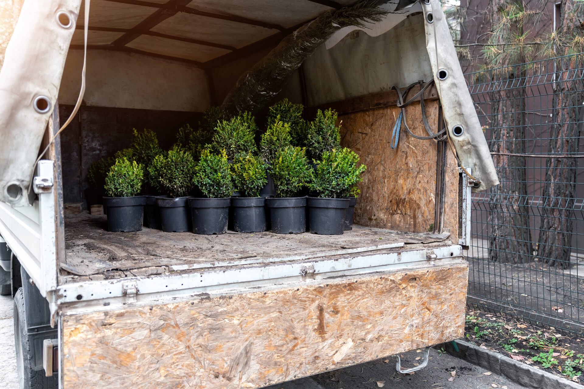 Landscaping Hauling, including shrubs and trees, gravel, or dirt.